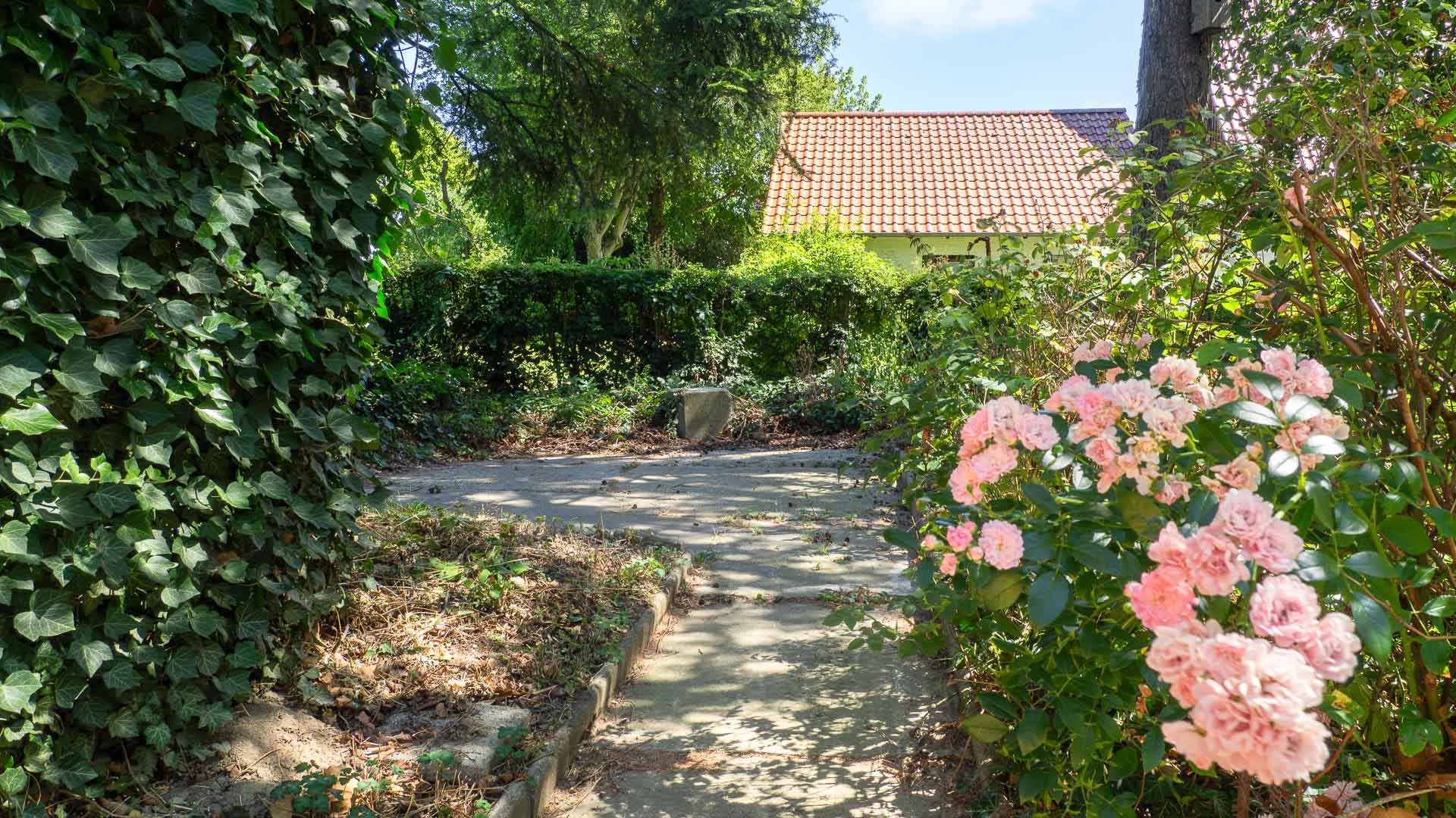 Thater Immobilien GmbH - Immobilienangebot - Bad Wünnenberg - Häuser - 6339 | Einfamilienhaus / Baugrundstück zu kaufen in 33181 Bad Wünnenberg