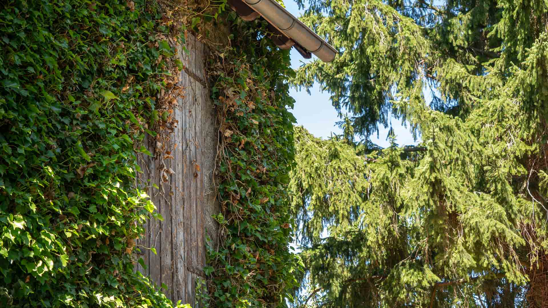Thater Immobilien GmbH - Immobilienangebot - Bad Wünnenberg - Häuser - 6339 | Einfamilienhaus / Baugrundstück zu kaufen in 33181 Bad Wünnenberg