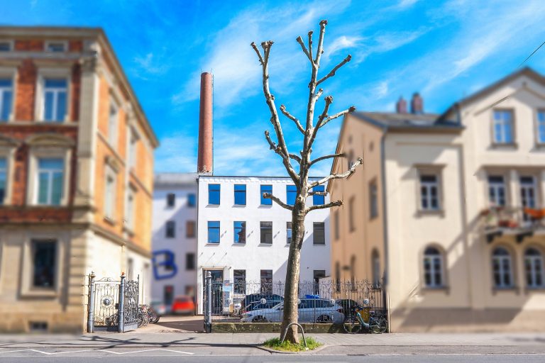 Immobilienangebot - Bamberg - Alle - Eine attraktive Immobilie in Bamberg - Saniertes, großzügiges Büro- und Geschäftshaus