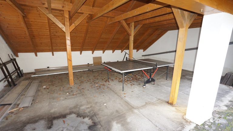 Immobilienangebot - Oberaurach - Alle - Großzügiges Einfamilienhaus mit Einliegerwohnung und Ausbaureserve in Oberaurach OT
