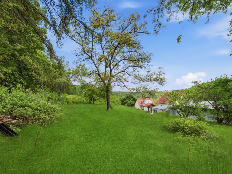 Immobilienangebot - Eltmann - Alle - Eltmann - großes Grundstück in traumhafter Ortsrandlage