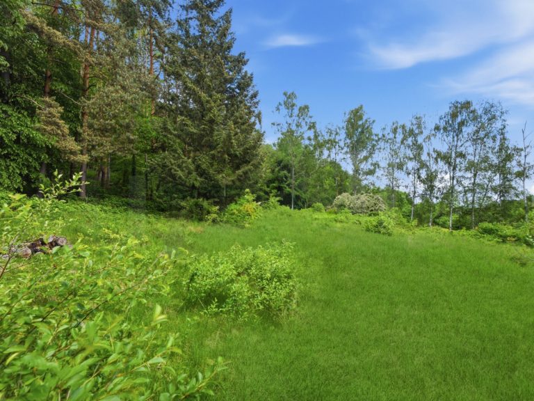 Immobilienangebot - Eltmann - Alle - Großes Baugrundstück in traumhafter Ortsrandlage-Eltmann
