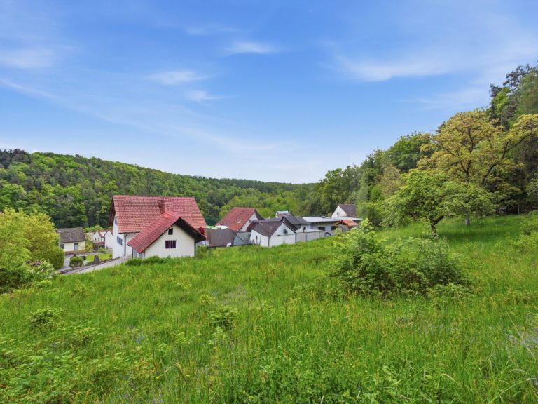 Immobilienangebot - Eltmann - Alle - Großes Baugrundstück in traumhafter Ortsrandlage-Eltmann