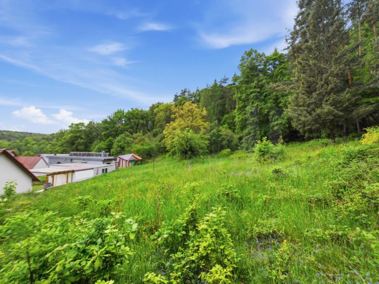 Immobilienangebot - Eltmann - Alle - Großes Baugrundstück in traumhafter Ortsrandlage-Eltmann