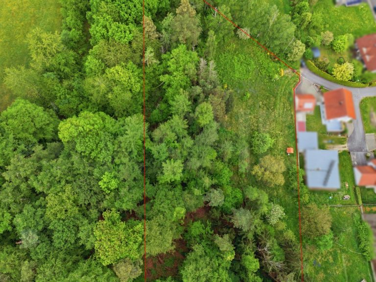 Immobilienangebot - Eltmann - Alle - Großes Baugrundstück in traumhafter Ortsrandlage-Eltmann