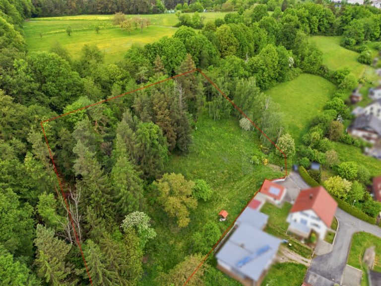 Immobilienangebot - Eltmann - Alle - Großes Baugrundstück in traumhafter Ortsrandlage-Eltmann