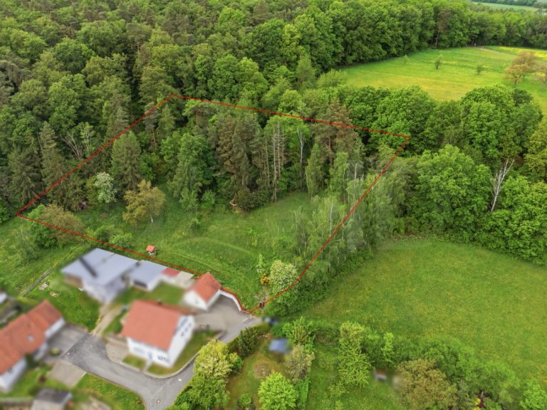 Immobilienangebot - Eltmann - Alle - Großes Baugrundstück in traumhafter Ortsrandlage-Eltmann