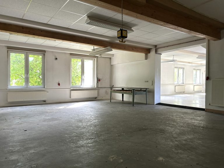 Immobilienangebot - Coburg - Alle - Vielseitige Gewerbefläche in Coburg-Neuses zu vermieten, ideal als Büro oder Werkstatt nutzbar