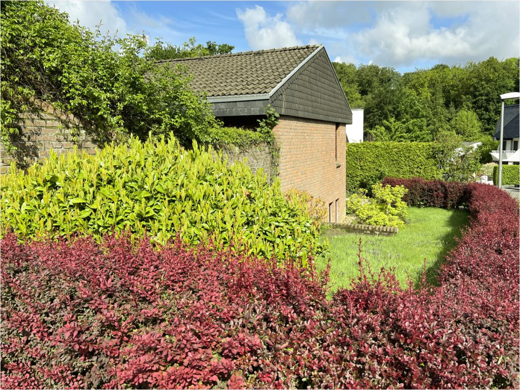 Immobilienangebot - Aachen - Alle - Bungalow mit Entwicklungspotenzial im Aachener Südviertel