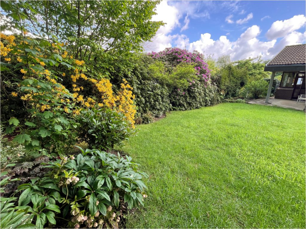 Immobilienangebot - Aachen - Alle - Bungalow mit Entwicklungspotenzial im Aachener Südviertel