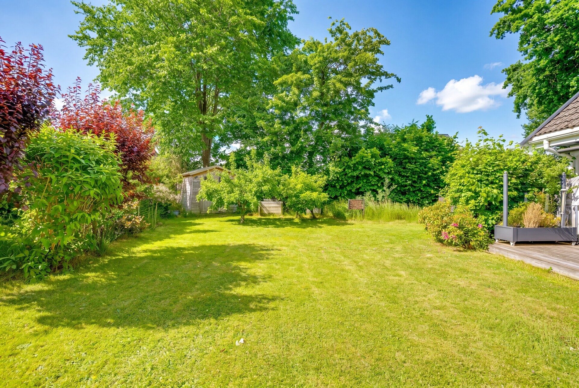 Immobilienangebot - Flensburg - Alle - Solitüde: Gepflegtes Einfamilienhaus mit großzügigem Grundstück und Privatsphäre