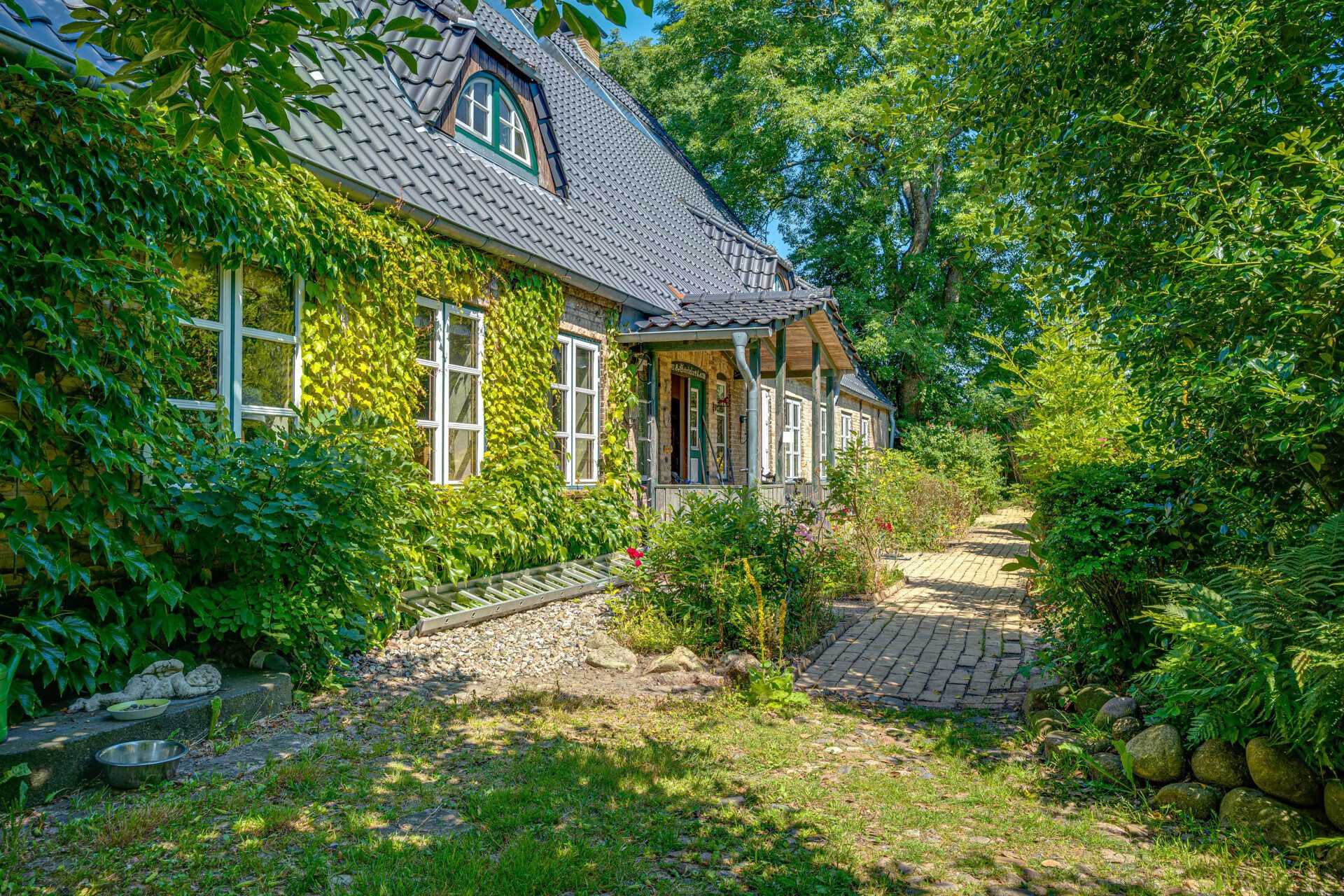Immobilienangebot - Stolk - Alle - Idyllischer Resthof mit 3 WE, weiterem Ausbaupotenzial, Scheune und über 12.000 m² Grdstk.!