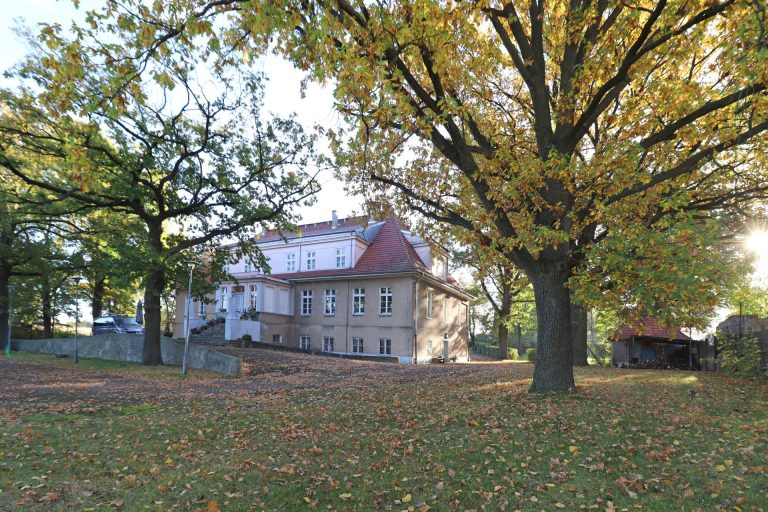 Immobilienangebot - Kolbaskowo - Alle - Großes pommerisches Gutshaus mit imposanter Historie in Kolbaskowo nahe Stettin, provisionsfrei!