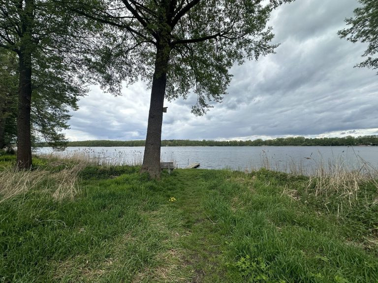 Immobilienangebot - Königs Wusterhausen / Zeesen - Alle - Zwischen Wald und Wasser - attraktives Baugrundstück  am Waldrand