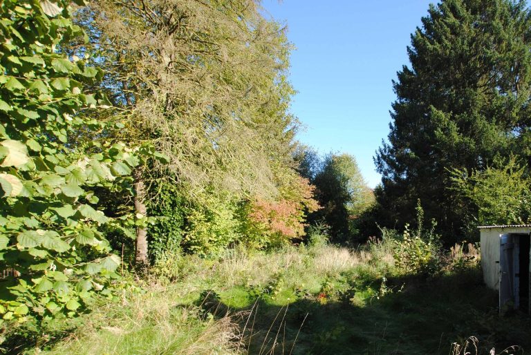 Immobilienangebot - Hamburg - Alle - Bramfeld/Wellingsbüttel: Attraktives, ruhiges Grundstück für max. 2 Einheiten in grüner Lage