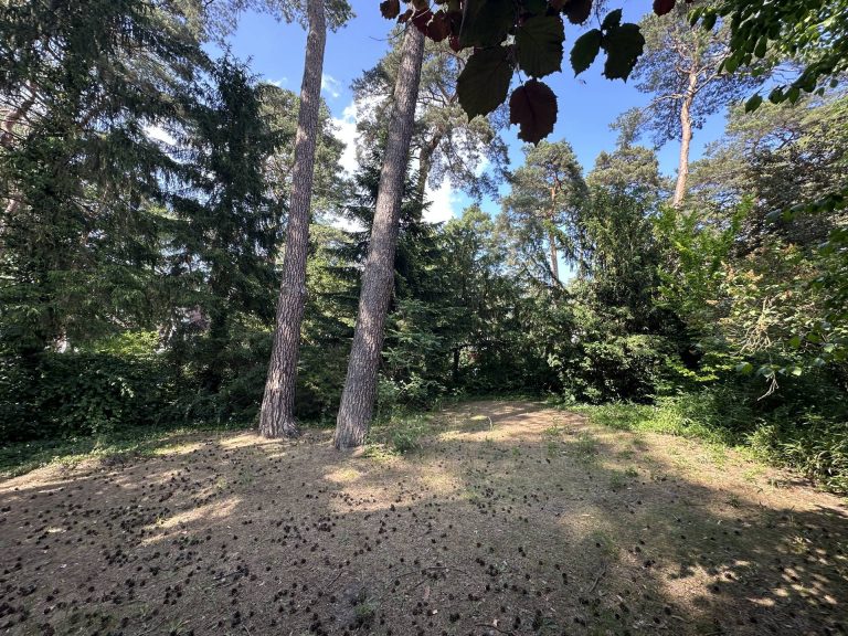 Immobilienangebot - Berlin - Alle - BIETERVERFAHREN – Originales Siedlungshaus mit besonderer Atmosphäre nahe Krumme Lanke