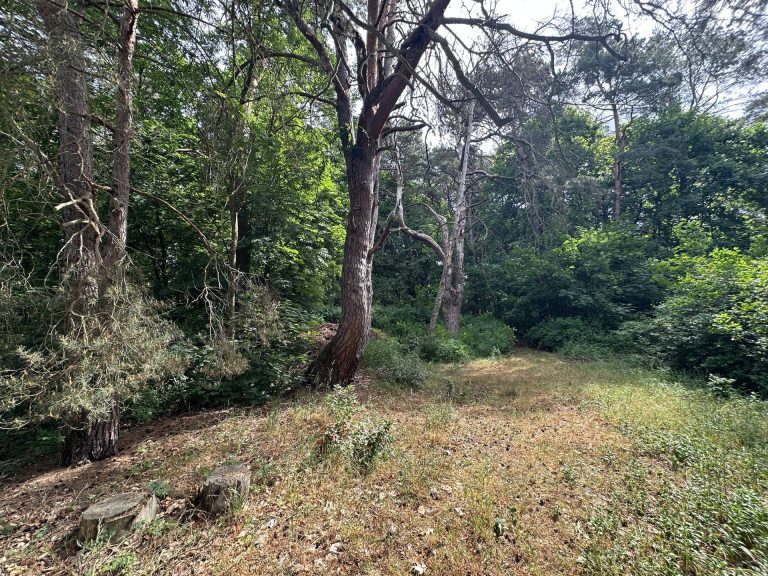 Immobilienangebot - Schwerin - Alle - Ein Grundstück zum Verlieben mit Neubaupotential (B-Plan), Bestandsgebäude und privatem Seezugang