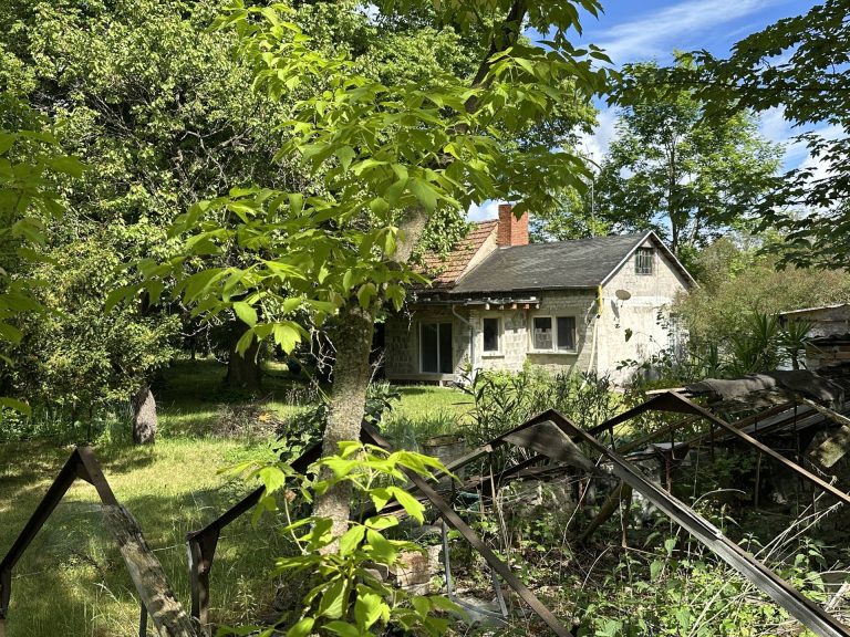 Immobilienangebot - Schwerin - Alle - Ein Grundstück zum Verlieben mit Neubaupotential (B-Plan), Bestandsgebäude und privatem Seezugang