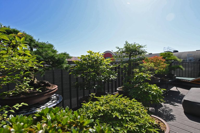 Immobilienangebot - Hamburg / Hoheluft-Ost - Alle - Luxuriöse, helle Maisonette ETW im 'Kleinen Notting Hill' von Eppendorf / Hoheluft Ost