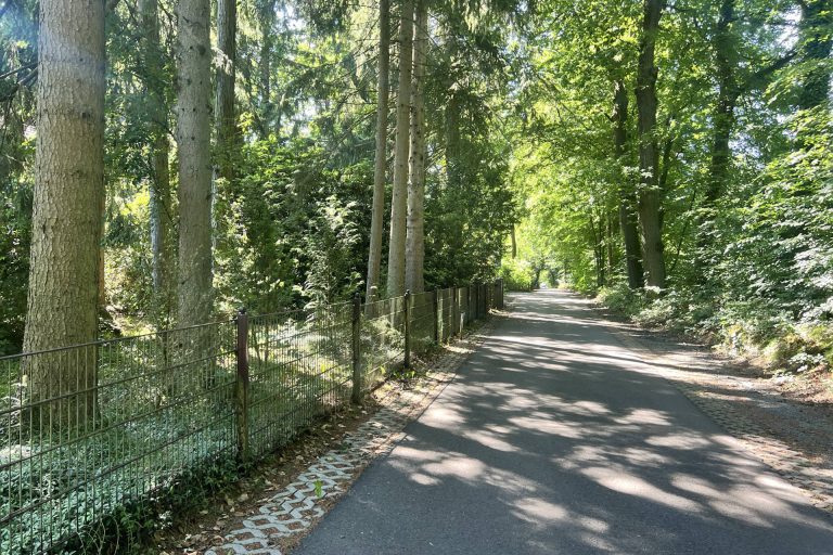 Immobilienangebot - Aumühle - Alle - Aumühle – Exklusiver Neubau in großzügiger Südlage mit viel Lebensqualität