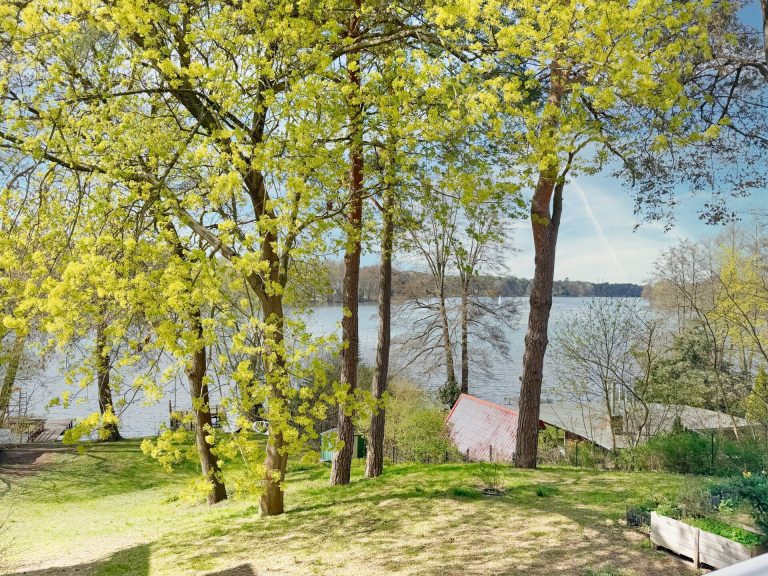 Immobilienangebot - Mittenwalde Motzen - Alle - Baden von Zuhause - gepflegte Wohnung mit großem Gemeinschaftsgarten und Seezugang
