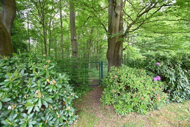 Immobilienangebot - Hamburg - Alle - Attraktives Sanierungskonzept: Einfamilienhaus in besonderer Lage Volksdorf mit großem Grundstück