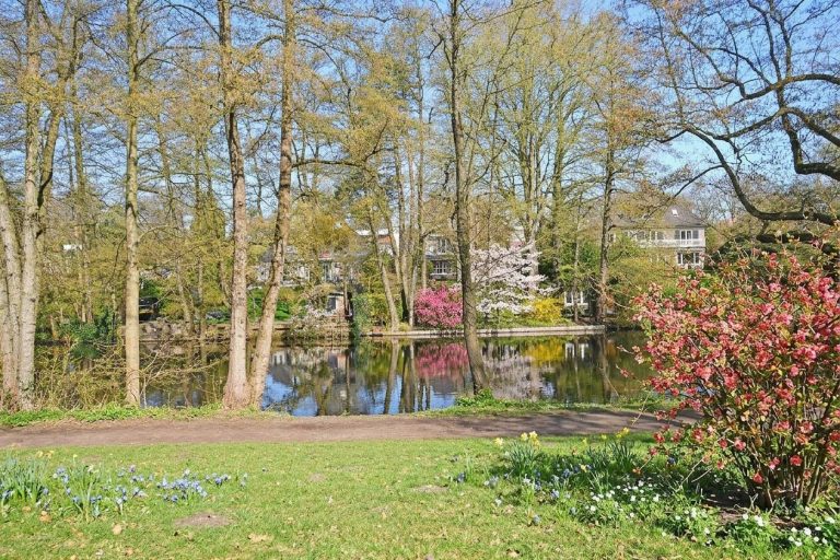 Immobilienangebot - Hamburg / Alsterdorf - Alle - Helle, sonnige Eigentumswohnung - Ruhiges, grünes Wohnen direkt am Alsterlauf mit Kamin und TG