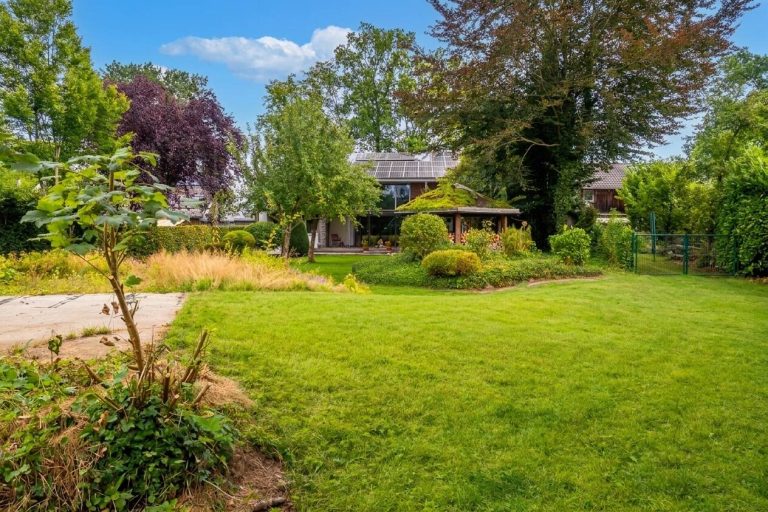 Immobilienangebot - Hoisdorf - Alle - Metropolregion Hamburg: Dreifamilienhaus, ökologisches Konzept plus Baugrundstück in zweiter Reihe