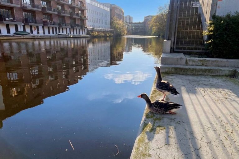 Immobilienangebot - Hamburg Winterhude - Alle - Winterhude: Stilvolle Gründerzeit-Wohnung mit Wohnküche und saniertem Balkon