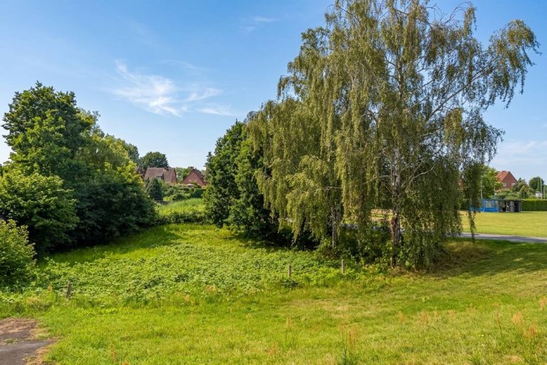 Immobilienangebot - Hohnstorf (Elbe) - Alle - Ein besonderer Ort zum Bauen und Bleiben – 
direkt am Elbdeich in Hohnstorf
