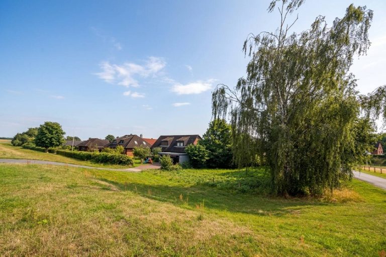 Immobilienangebot - Hohnstorf (Elbe) - Alle - Ein besonderer Ort zum Bauen und Bleiben – 
direkt am Elbdeich in Hohnstorf