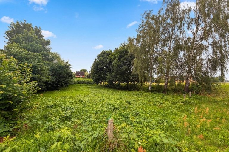 Immobilienangebot - Hohnstorf (Elbe) - Alle - Ein besonderer Ort zum Bauen und Bleiben – 
direkt am Elbdeich in Hohnstorf