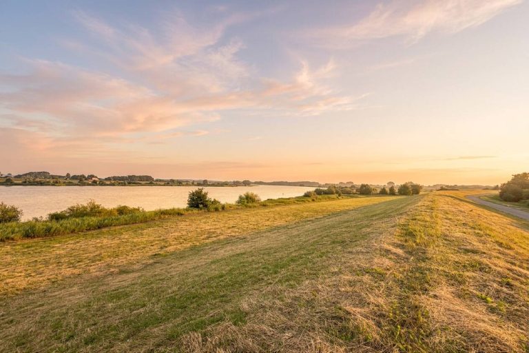 Immobilienangebot - Hohnstorf (Elbe) - Alle - Ein besonderer Ort zum Bauen und Bleiben – 
direkt am Elbdeich in Hohnstorf