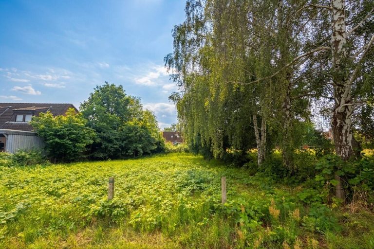 Immobilienangebot - Hohnstorf (Elbe) - Alle - Ein besonderer Ort zum Bauen und Bleiben – 
direkt am Elbdeich in Hohnstorf