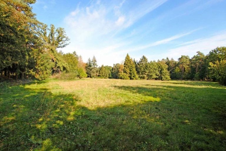 Immobilienangebot - Wedel - Alle - Wedel/Holm: Baugrundstück für 2 Ein oder Zweifamilienhäuser mit Altbestand.