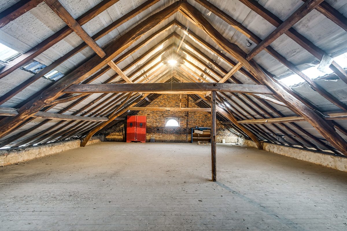 Immobilienangebot - Niederzier - Alle - Bauernhaus mit Hofcharakter und Einliegerwohnung auf großzügigem Grundstück in Niederzier