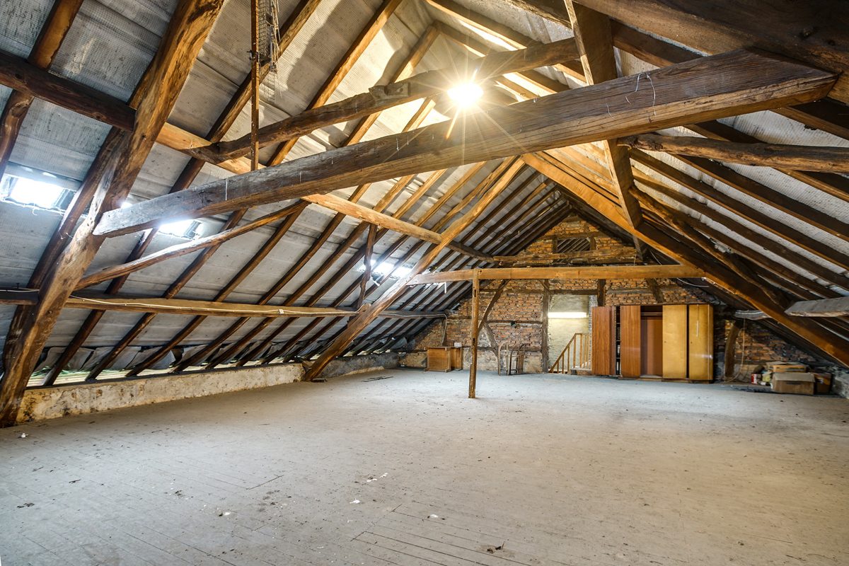 Immobilienangebot - Niederzier - Alle - Bauernhaus mit Hofcharakter und Einliegerwohnung auf großzügigem Grundstück in Niederzier