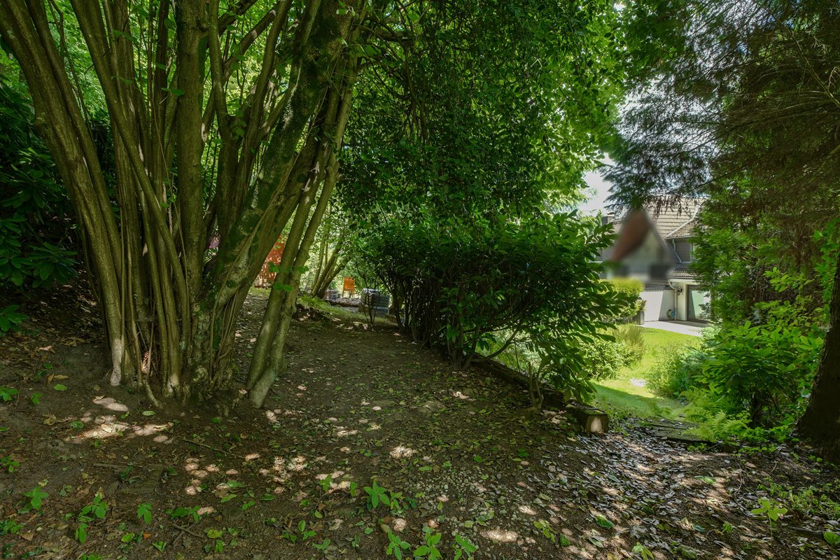 Immobilienangebot - Aachen - Alle - Südviertel pur - Ruhiges Reihenmittelhaus in privater Bestlage