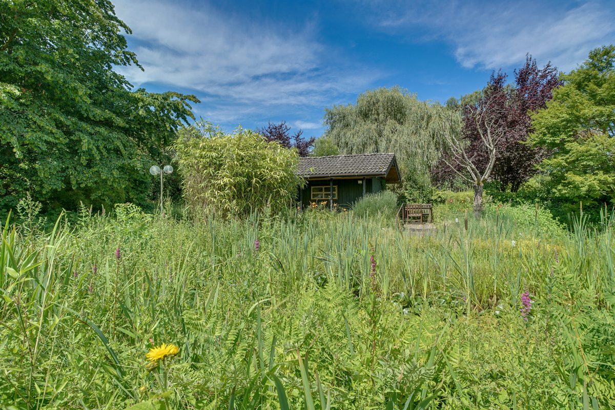 Immobilienangebot - Aachen - Alle - Exklusive Wohlfühloase – Außergewöhnliches Einfamilienhaus mit parkähnlichem Garten