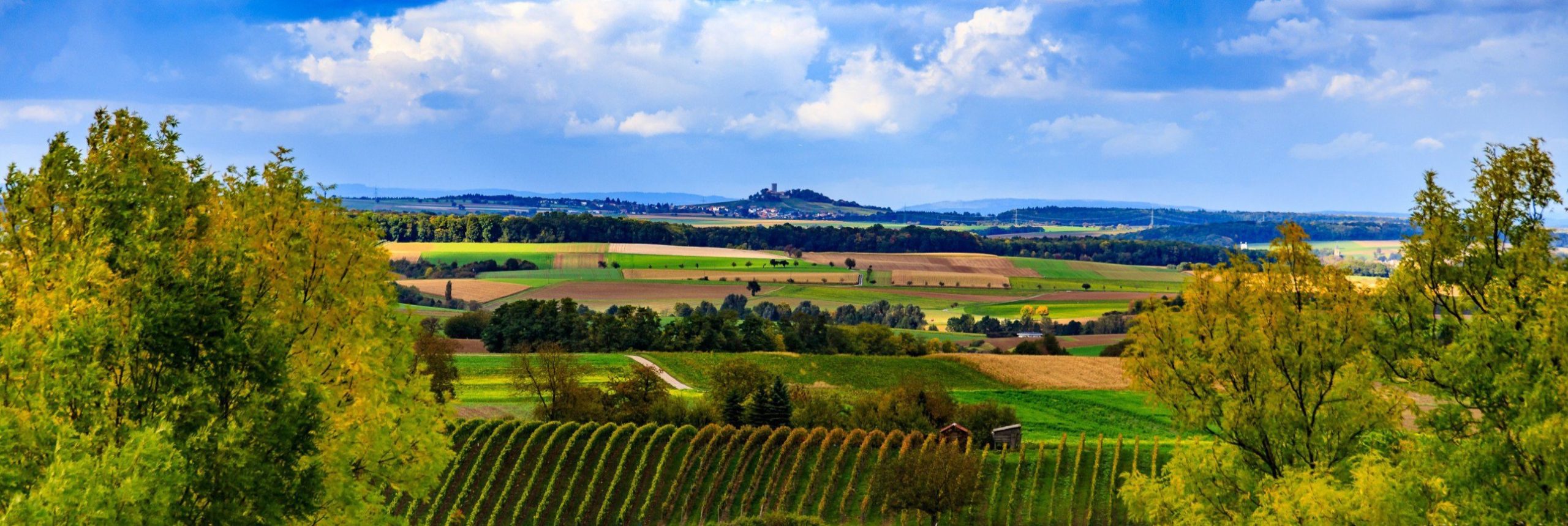 immobilienmakler-kraichtal immobilienmakler-kraichtal