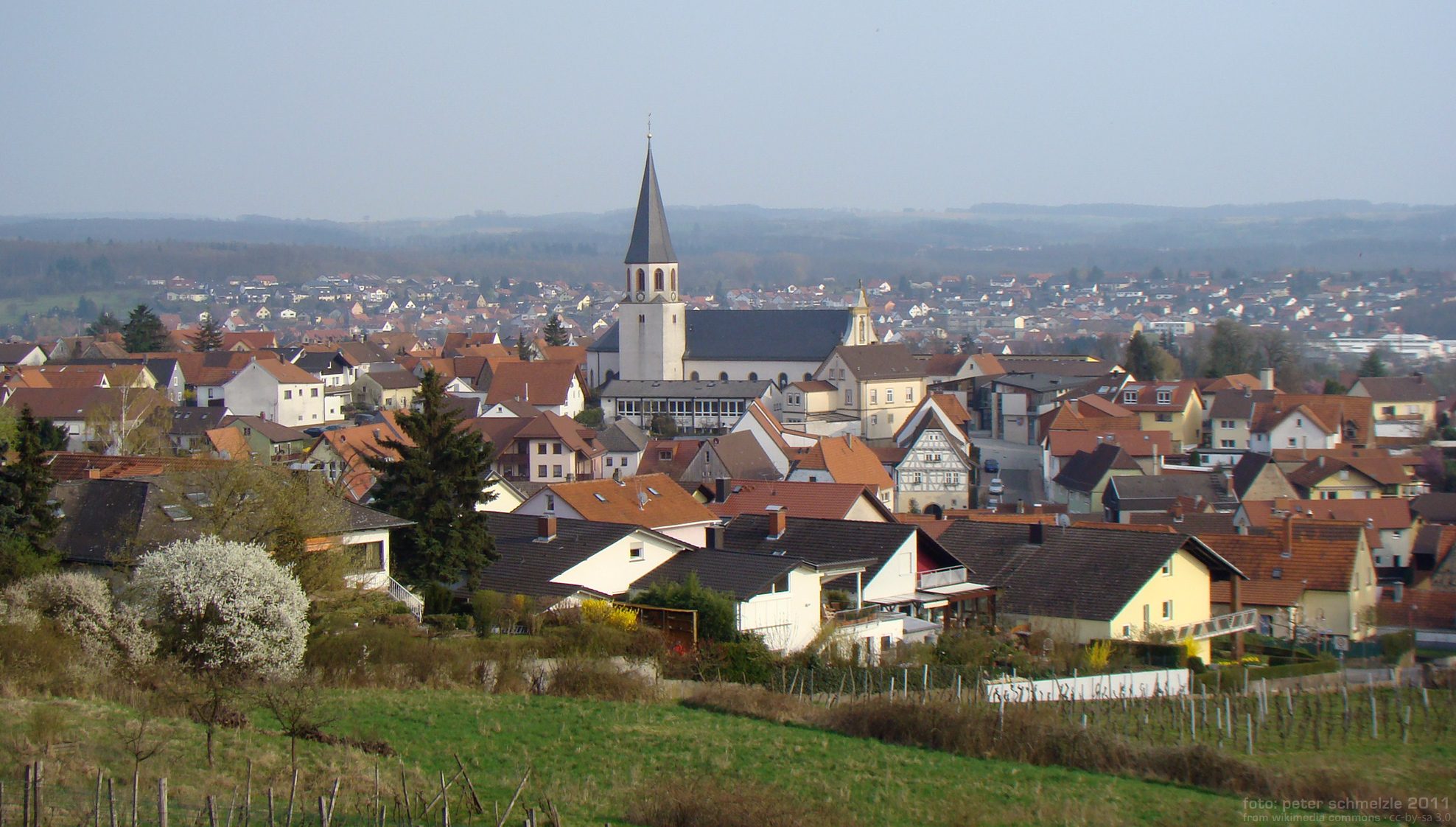 Makler für Angelbachtal