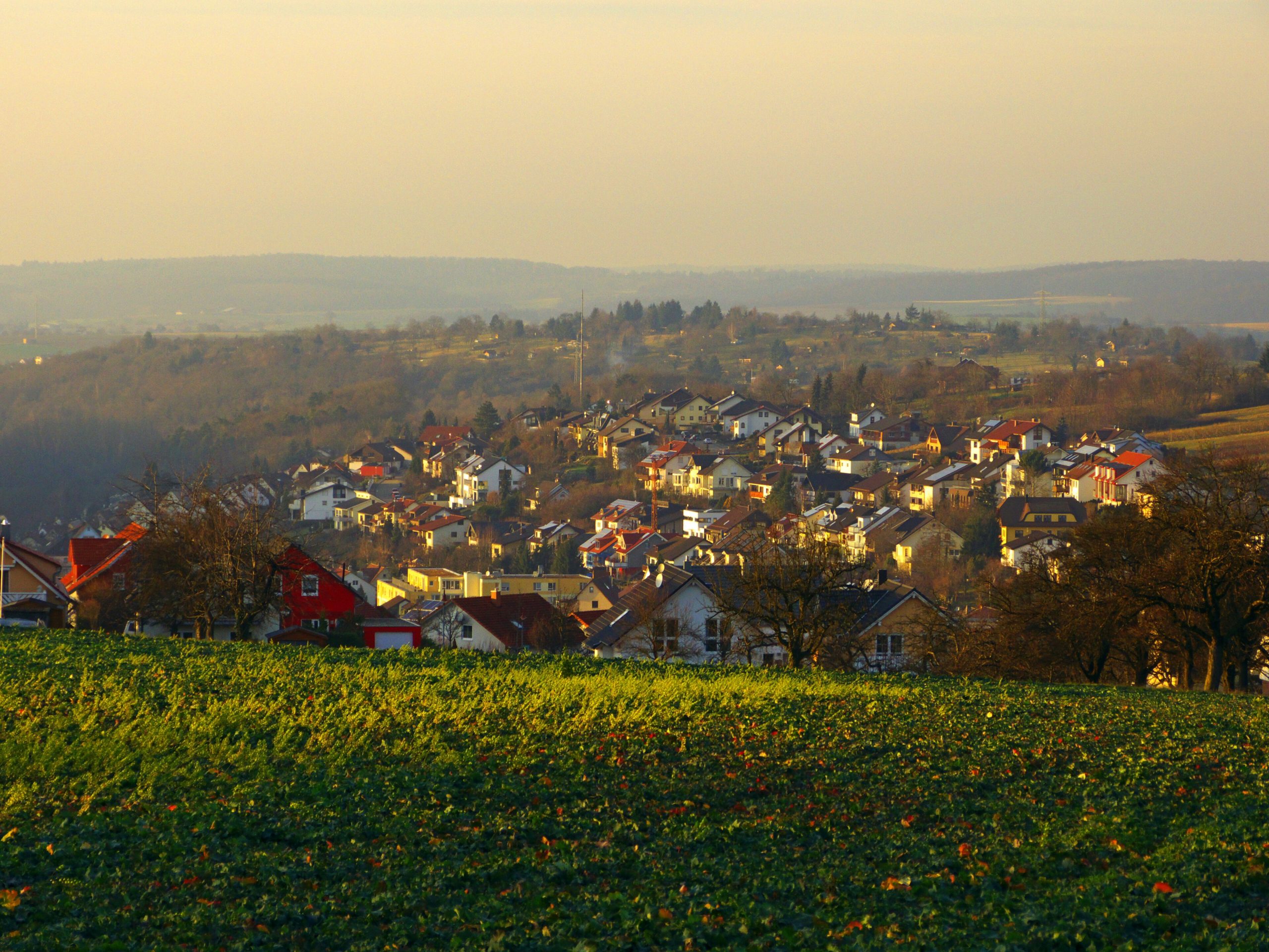 Eisingen | Immobilienmakler Eisingen - Schmidt & Schurig Immobilien
