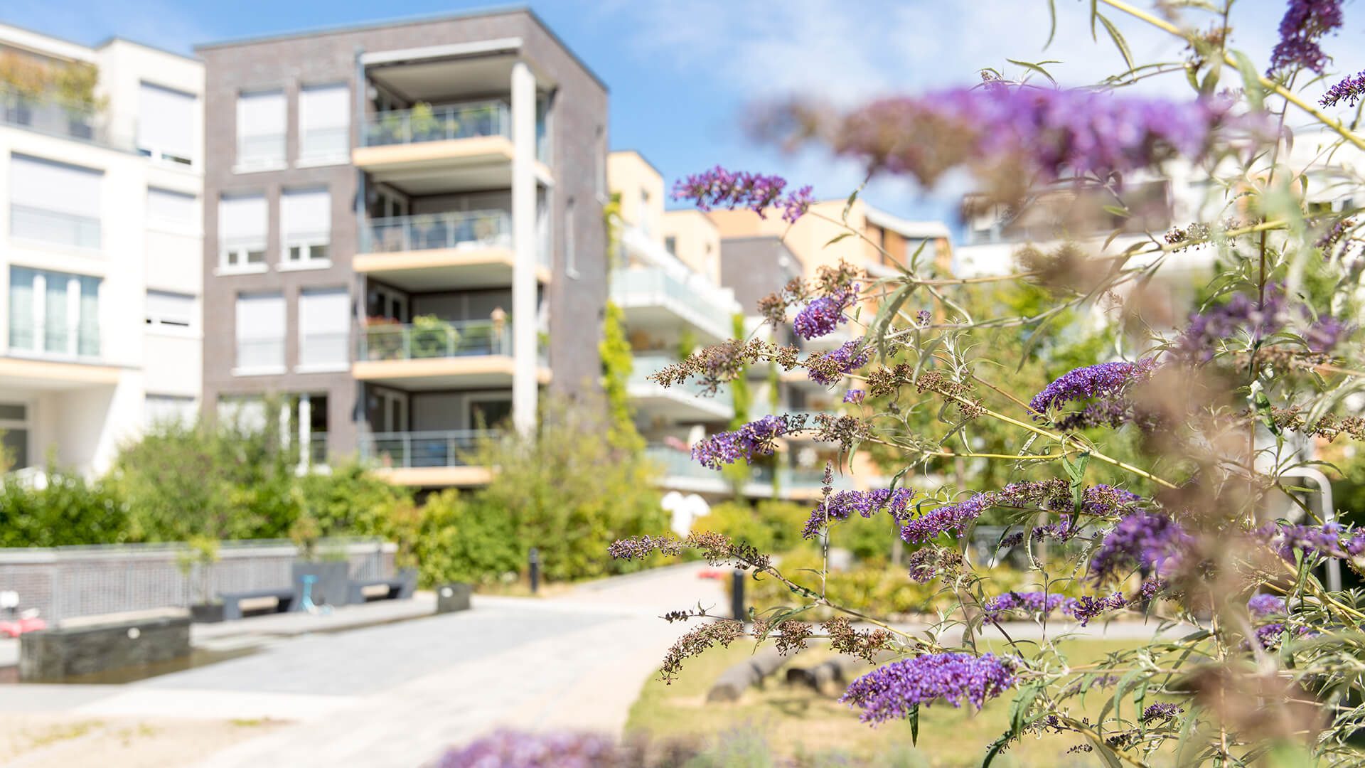 Wohn- und Gewerbebau -Projektentwicklung - Gisinger Immobiliengruppe Freiburg
