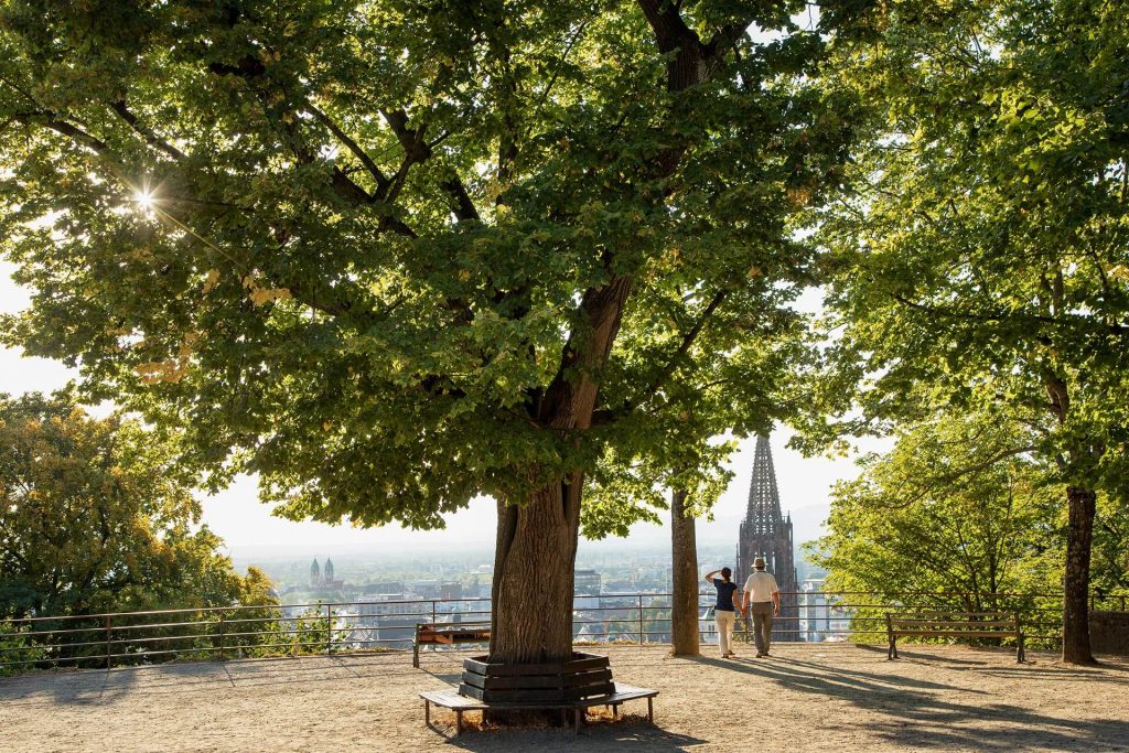 Ihr Immobilienmakler in Freiburg - Gisinger Immobiliengruppe Freiburg - Raum für Menschen Ihr Immobilienmakler in Freiburg - Gisinger Immobiliengruppe Freiburg - Raum für Menschen