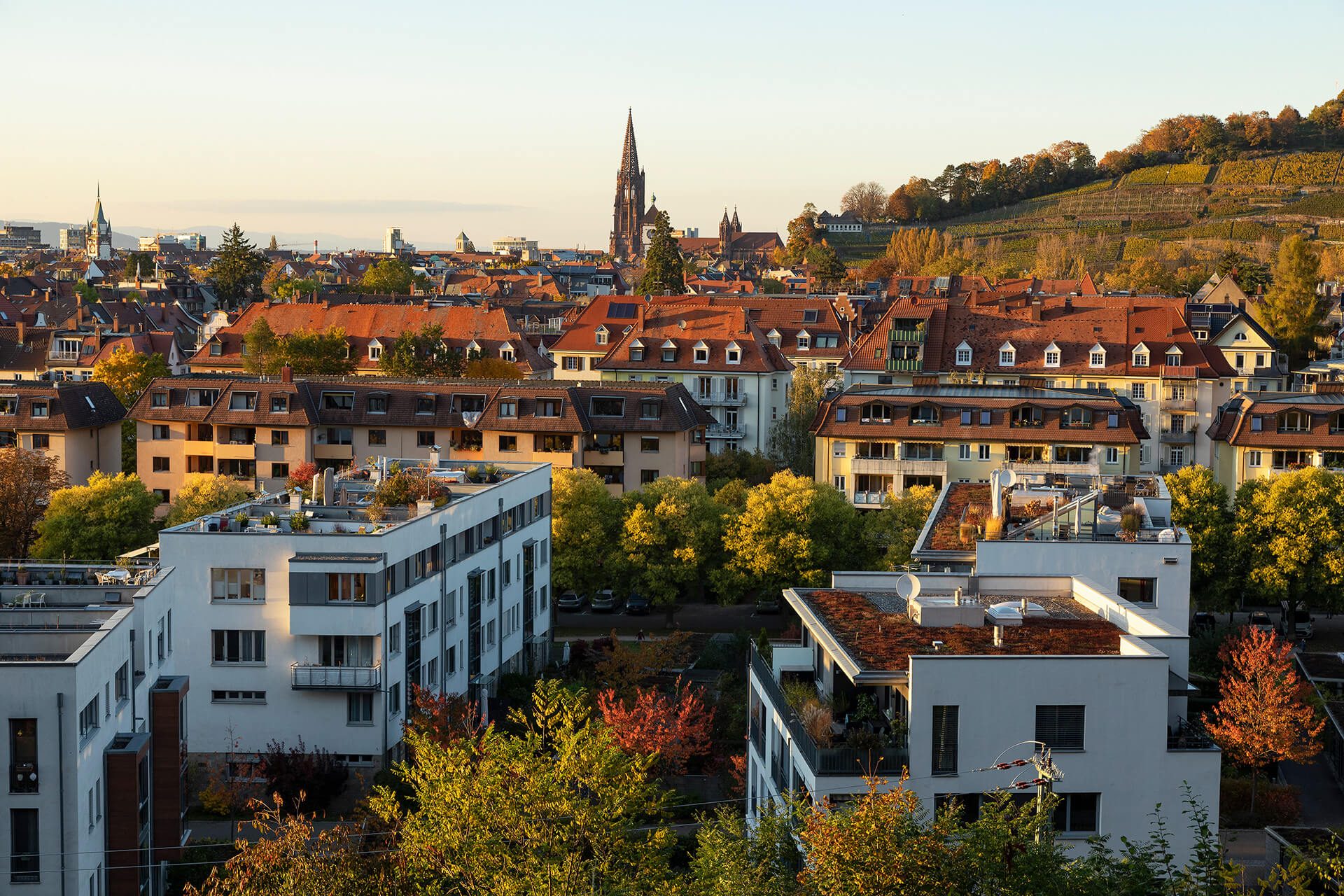Immobilienbewertung Freiburg - Online & kostenfrei - Gisinger Immobilien Gisinger Immobiliengruppe Freiburg Immobilienbewertung Freiburg - Online & kostenfrei - Gisinger Immobilien