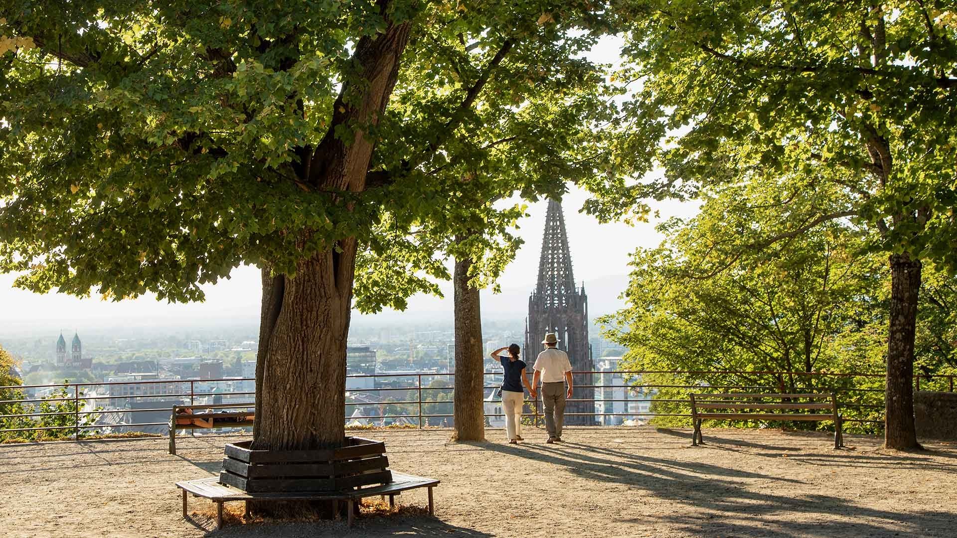 Immobilienangebot - Freiburg i. Br. / Unterwiehre-Nord - Wohnen & Investment & Rest - Nachhaltiges Investment von gutem Bauträger / 19% Umsatzsteuerrückerstattung