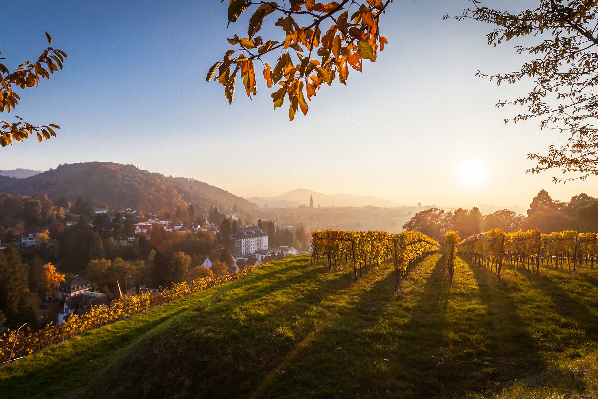 Immobilienpreise-Freiburg-Gisinger-Immobilienmakler