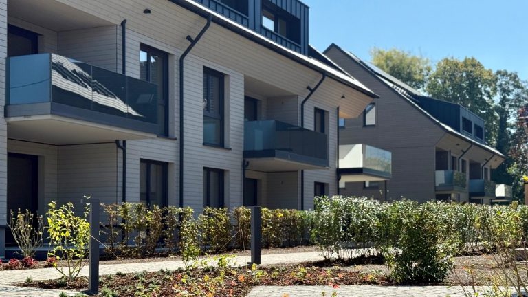 Immobilienangebot - Kirchzarten / Zarten - Wohnen & Investment & Rest - Für Kapitalanlage oder Eigennutzer