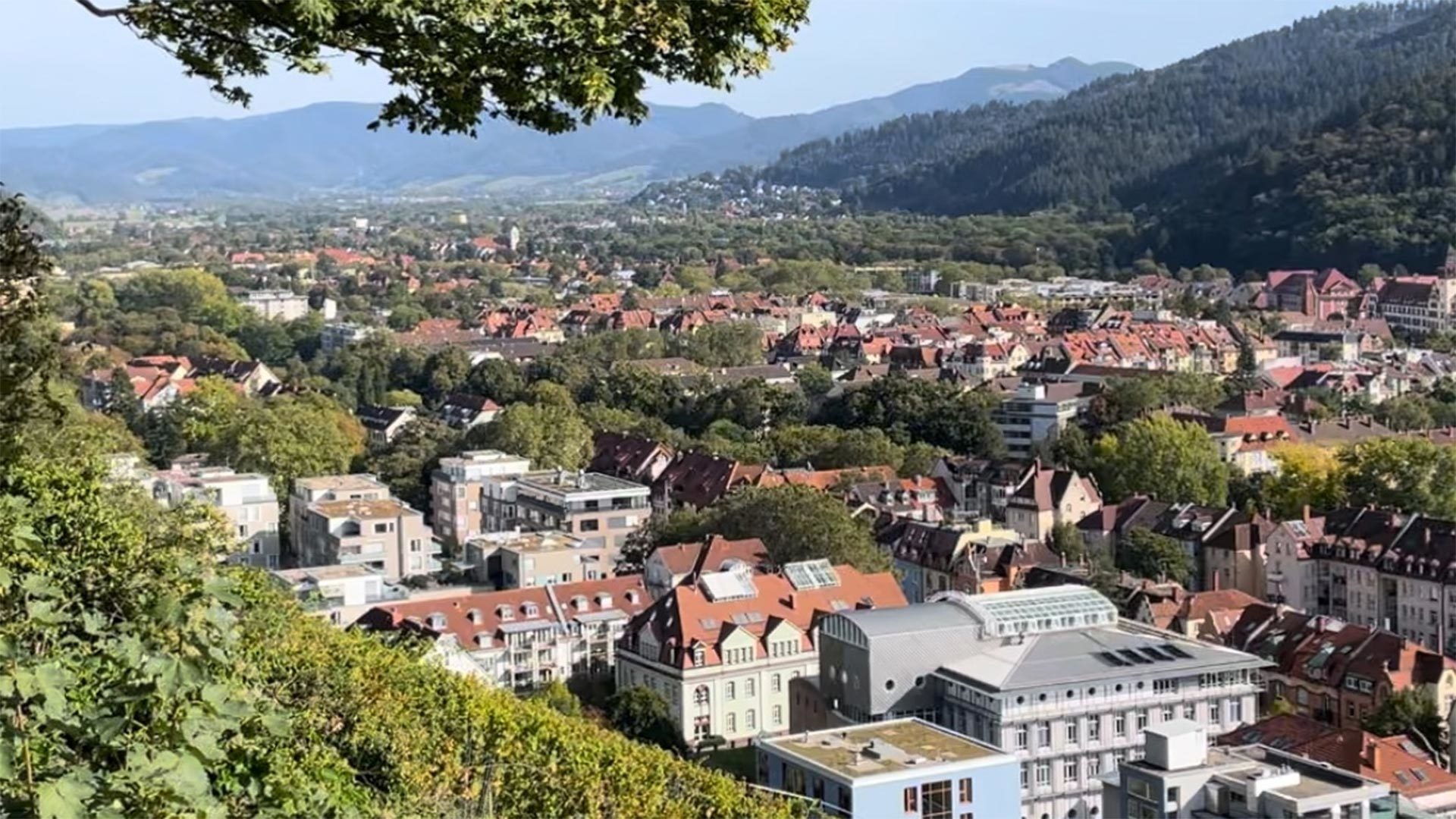 Immobilienangebot - Kirchzarten / Zarten - Wohnen & Investment & Rest - Wohnen im Luftkurort nahe Freiburg