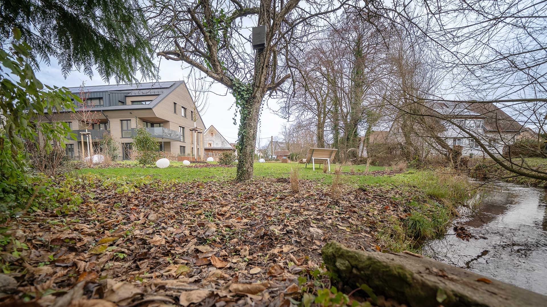 Immobilienangebot - Kirchzarten / Zarten - Wohnen & Investment & Rest - Wohnen, wie Sie es sich immer gewünscht haben.